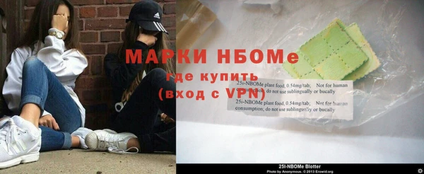 дурь Бронницы