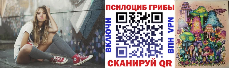 blacksprut зеркало  как найти наркотики  Прокопьевск  Галлюциногенные грибы Psilocybine cubensis 